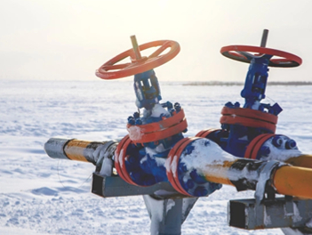 皇冠官方app平台