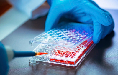 皇冠官方app平台