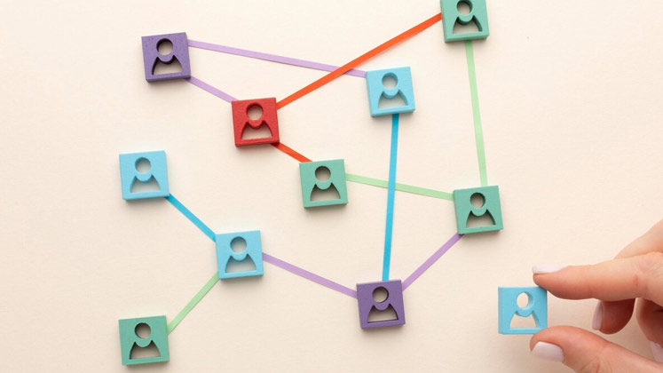 组织设计与优化