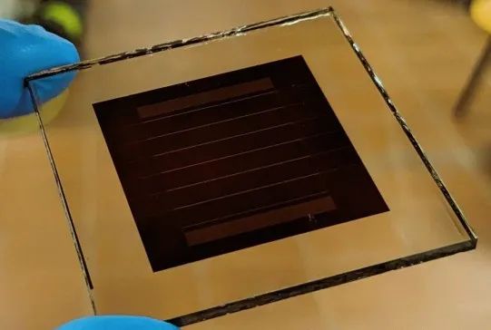 1720079515477296.jpg 223234223.jpg