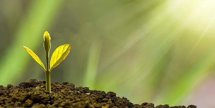 某上市投资集团战略规划咨询项目案例