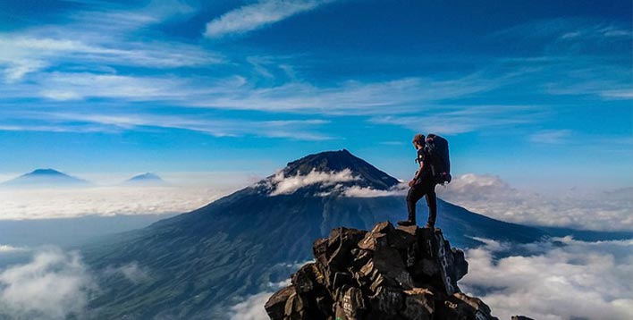 某信息网络公司人力资源体系优化咨询项目案例