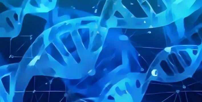 皇冠官方app平台