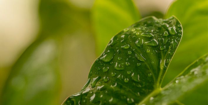 某国资环境服务集团薪酬体系优化咨询项目案例