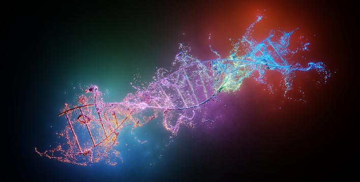 外商独资上市医疗集团人力资源咨询项目案例