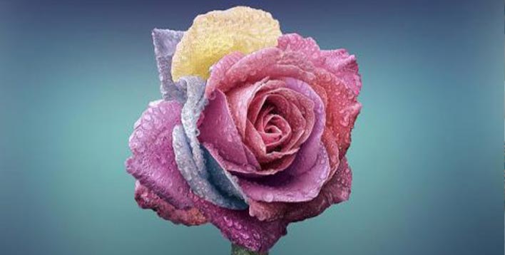 某化妆品集团组织优化与人力资源咨询项目案例