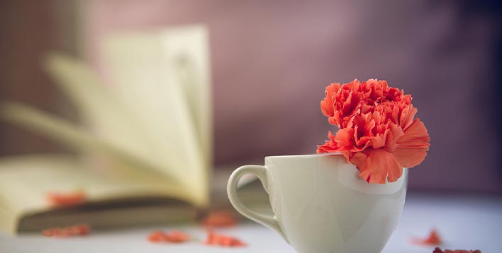 某教育上市公司战略规划与人力资源咨询项目案例