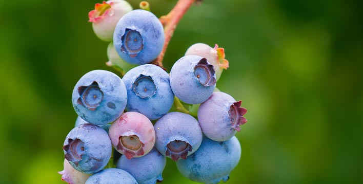 某国资护理用品公司战略规划与综合管理提升咨询项目案例