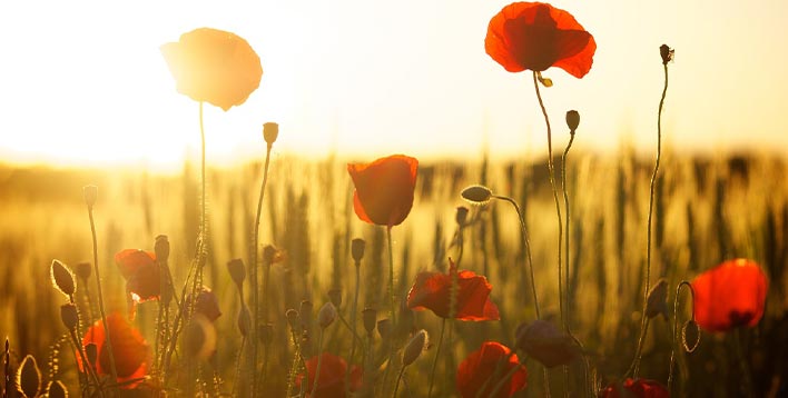 某国资服务公司战略、人力资源体系咨询项目案例