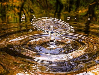 “睿信咨询”水务行业分析月报 2023年11-12双月报