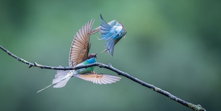 某集团战略规划与实施咨询项目案例