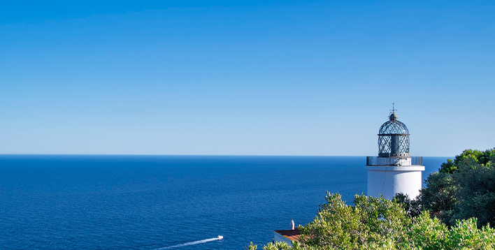 某能源集团物流贸易板块业务评价咨询项目案例