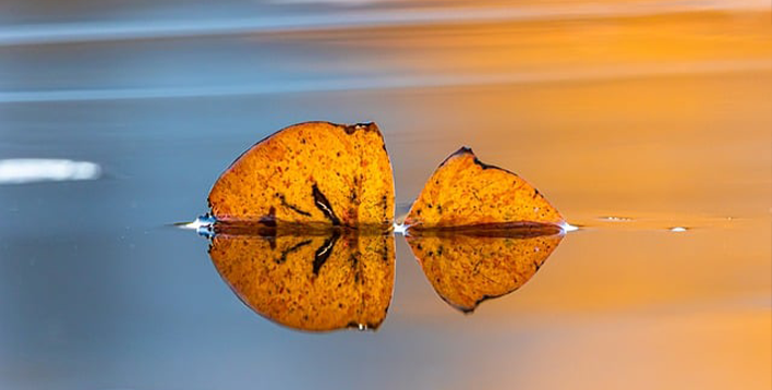 某国资给水公司内控体系建设咨询项目服务案例