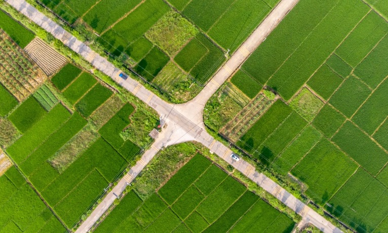 皇冠官方app平台