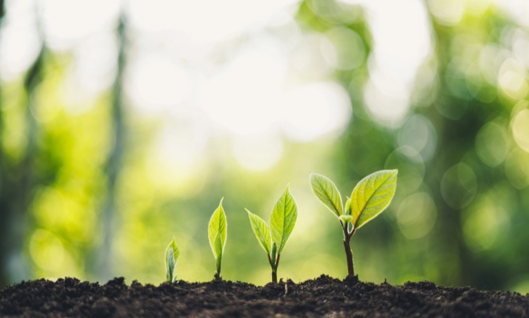 皇冠官方app平台