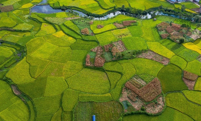 皇冠官方app平台