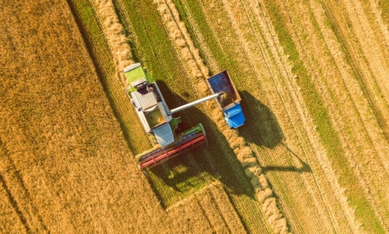 皇冠官方app平台