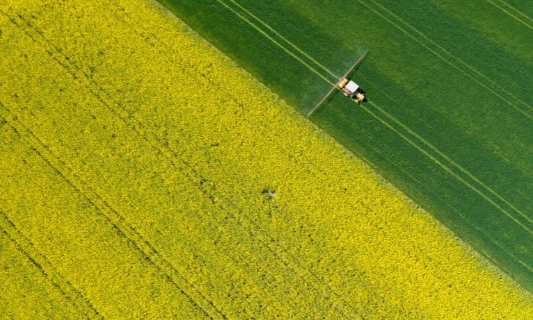 皇冠官方app平台