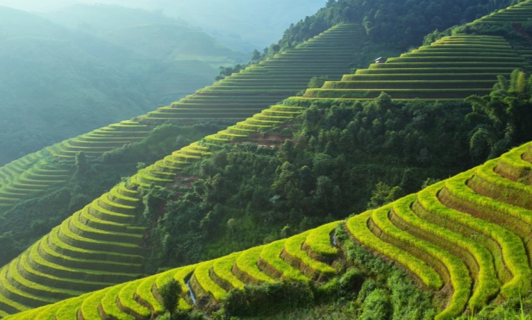 皇冠官方app平台