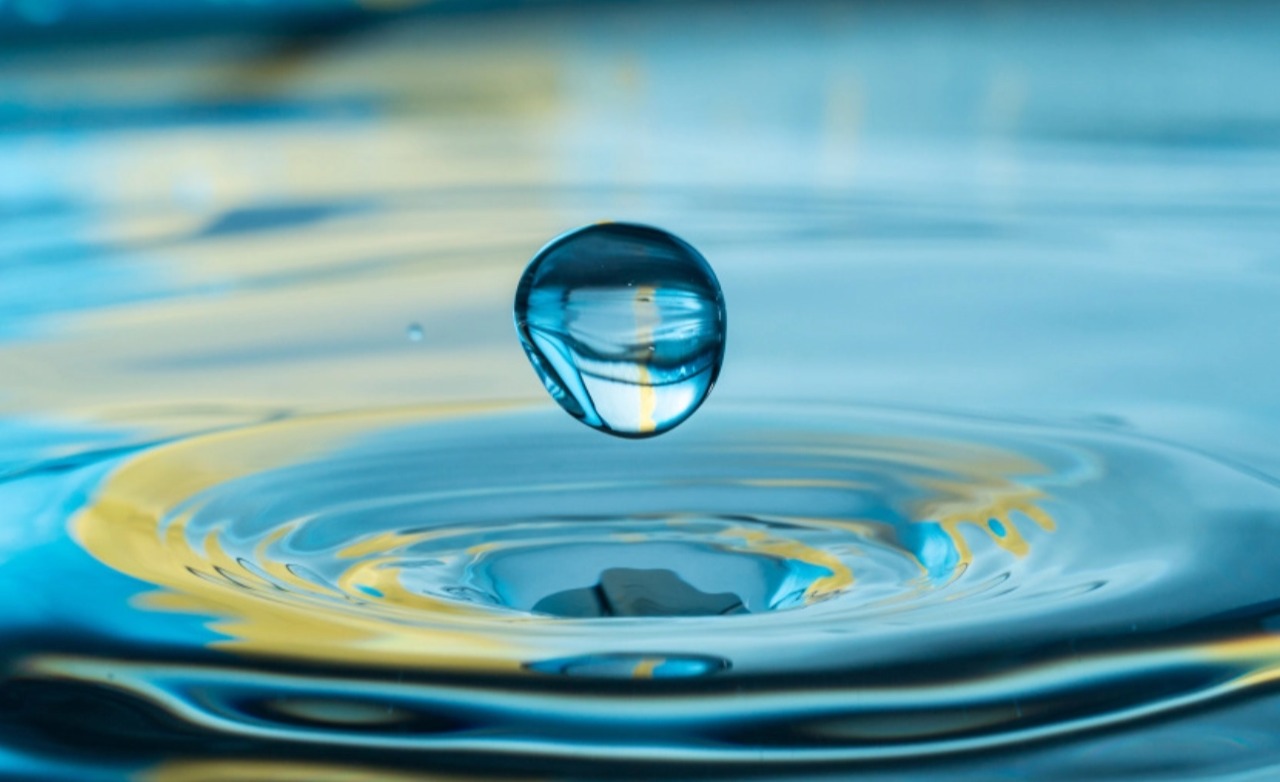 “睿信咨询”水务行业2024年度研究报告 | 智水革新，碧波致远