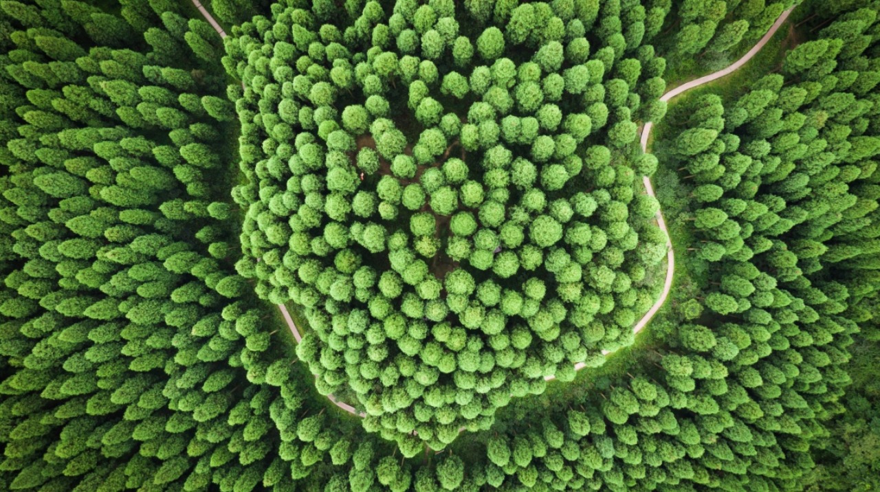 “睿信咨询”绿色环保产业研究报告 | 2025年5月