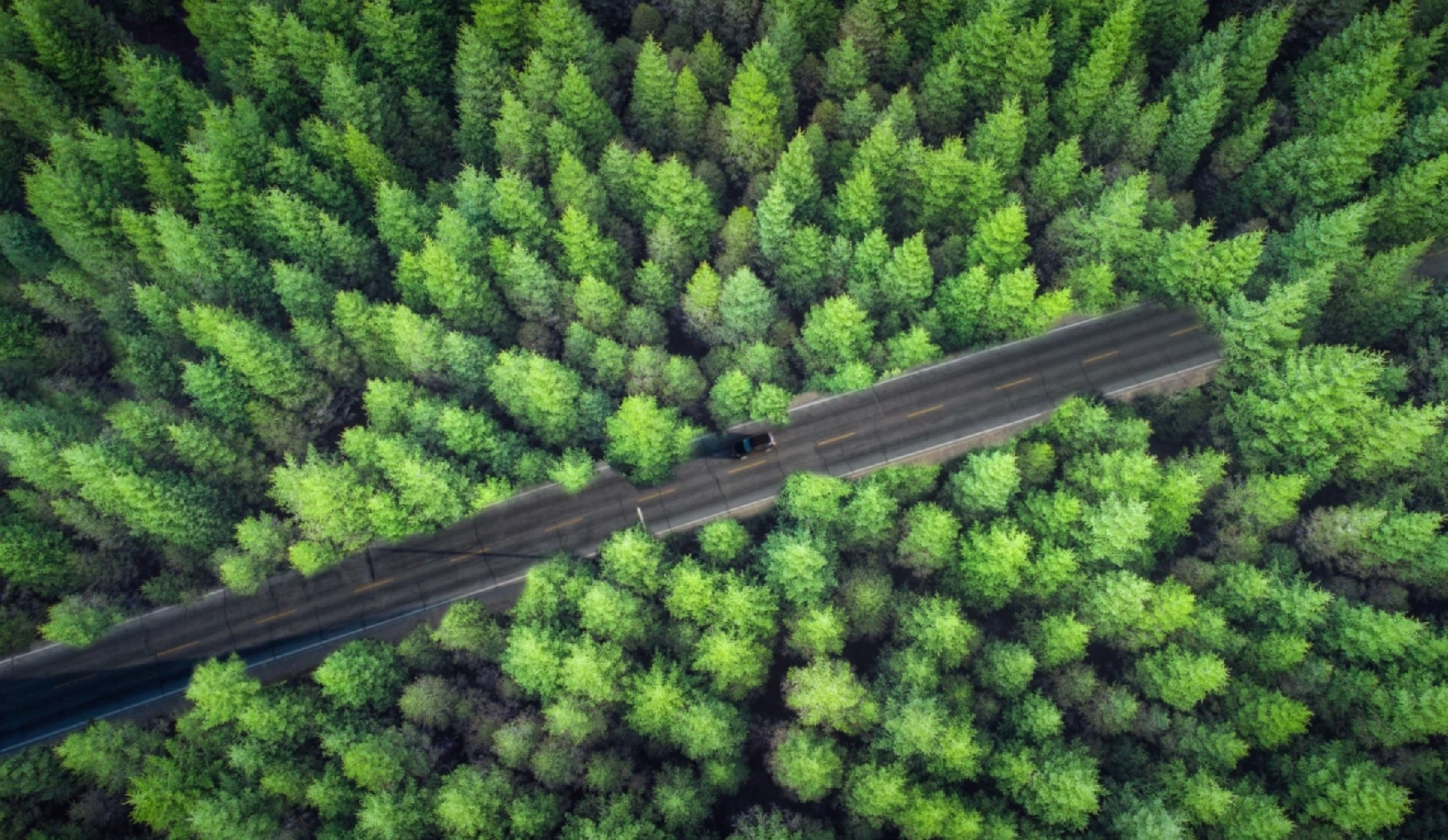 “睿信咨询”绿色环保产业研究报告 | 2025年6月