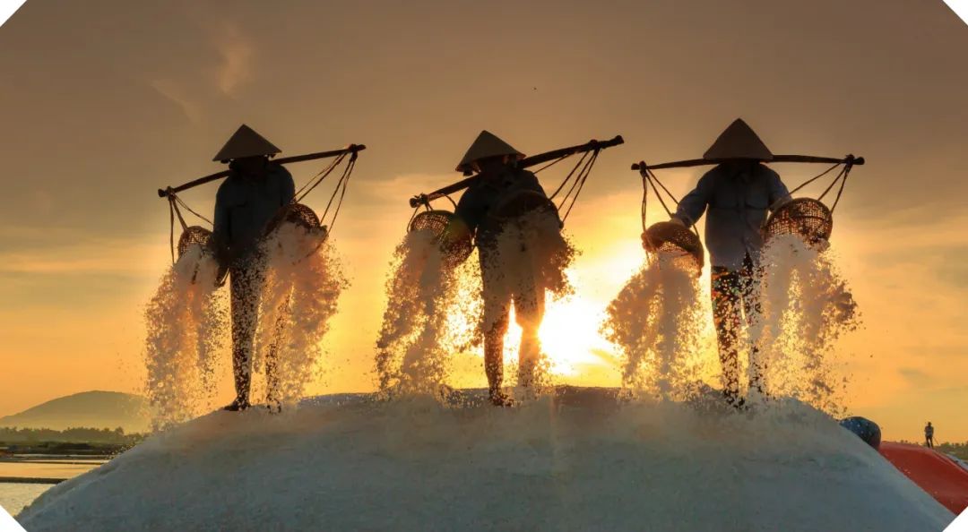 皇冠官方app平台