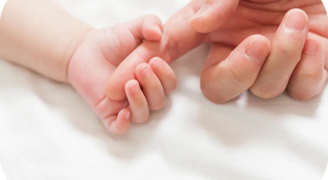 皇冠官方app平台