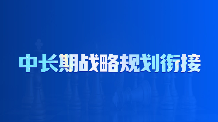 中长期战略规划衔接