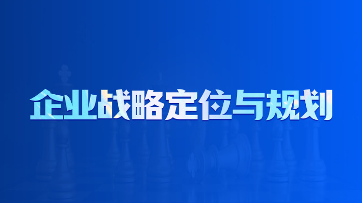 企业战略定位与规划