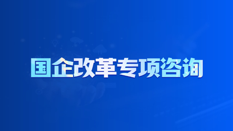 国企改革专项咨询